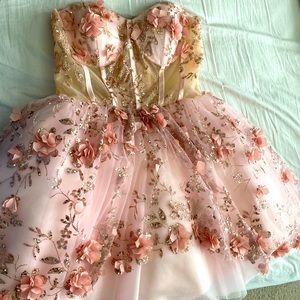 Quinceañera Prom dresses